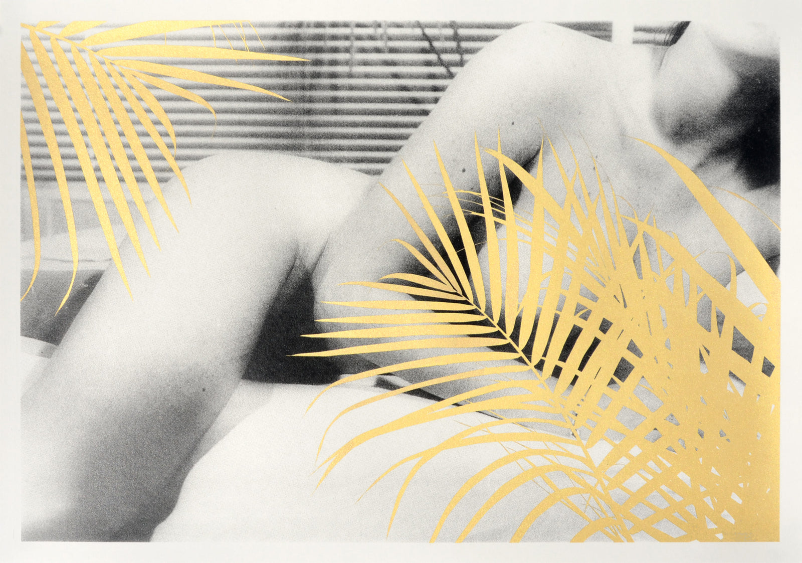 Balmy Nights by Cassandra Yap