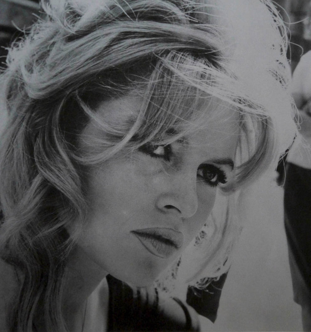 Brigitte Bardot - Silver by David Studwell