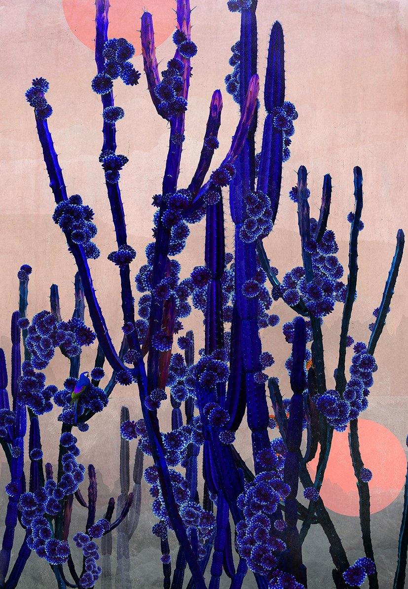 Cactus Moon by Nadia Attura