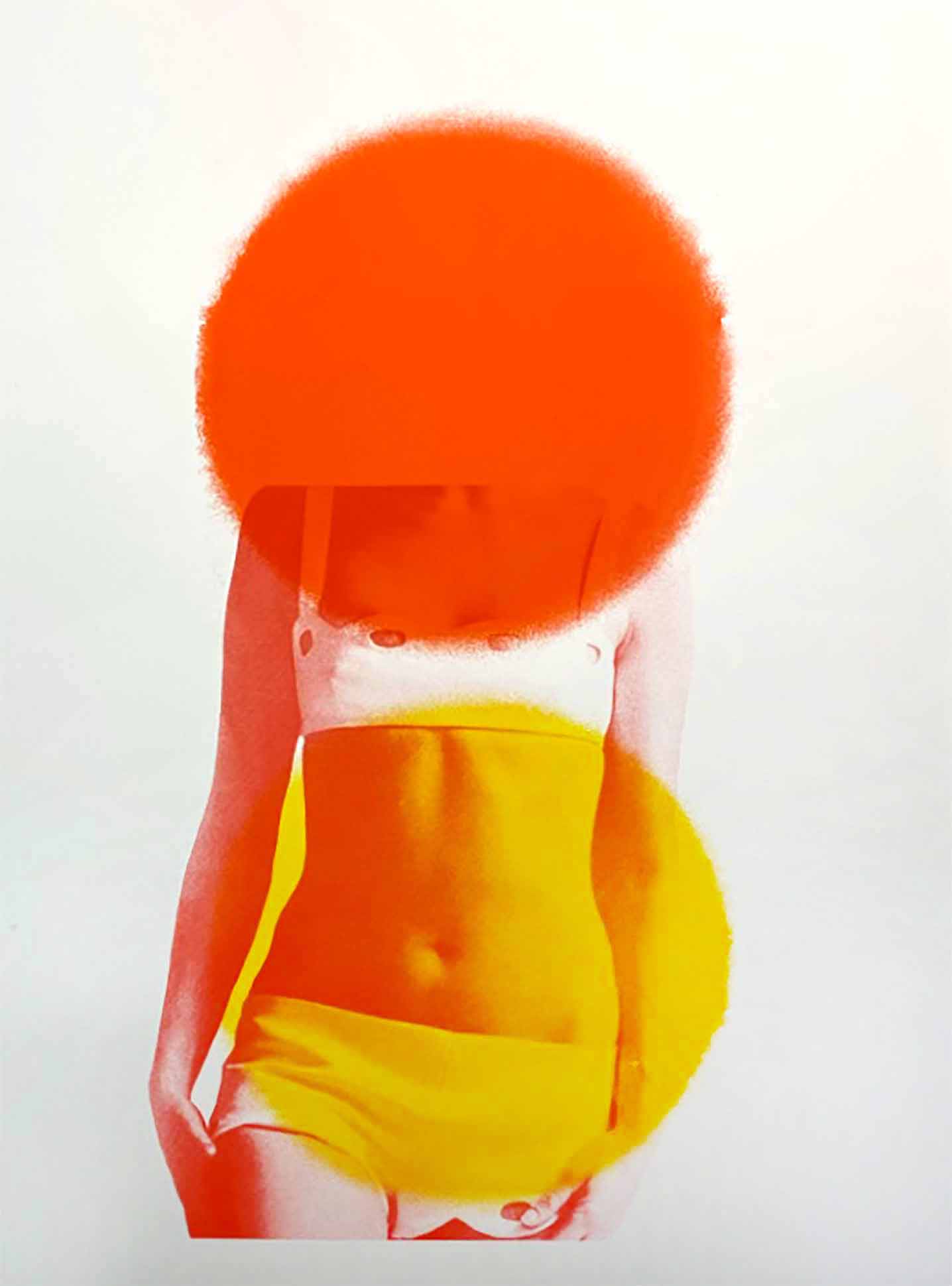 Ex Fan Des Sixties (Variation 1) by Nathalie Kingdon