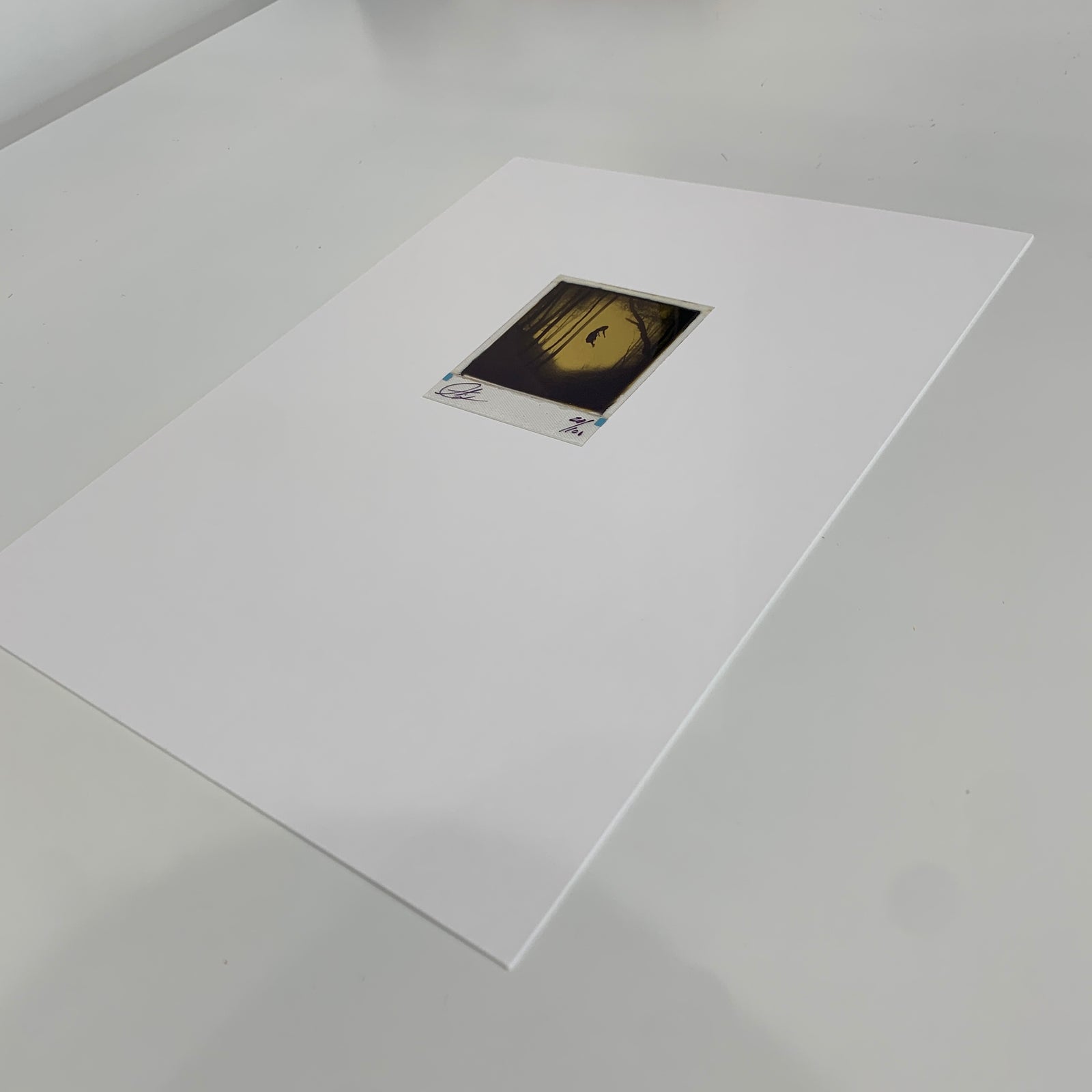 Rise From The Dust by Andrew J Millar