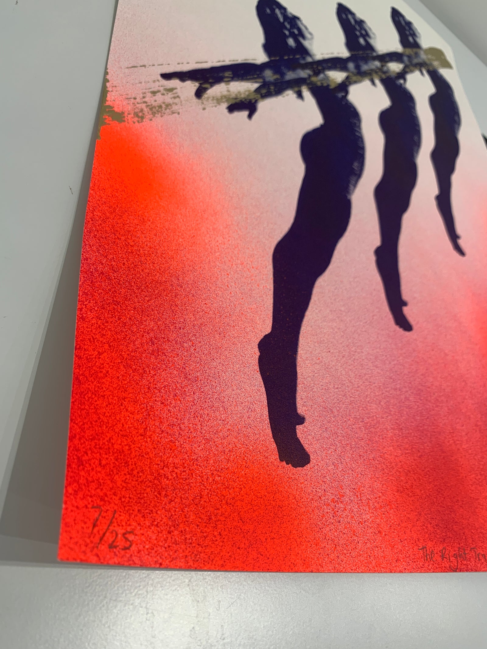 THE RIGHT TRAJECTORY by Amy Gardner