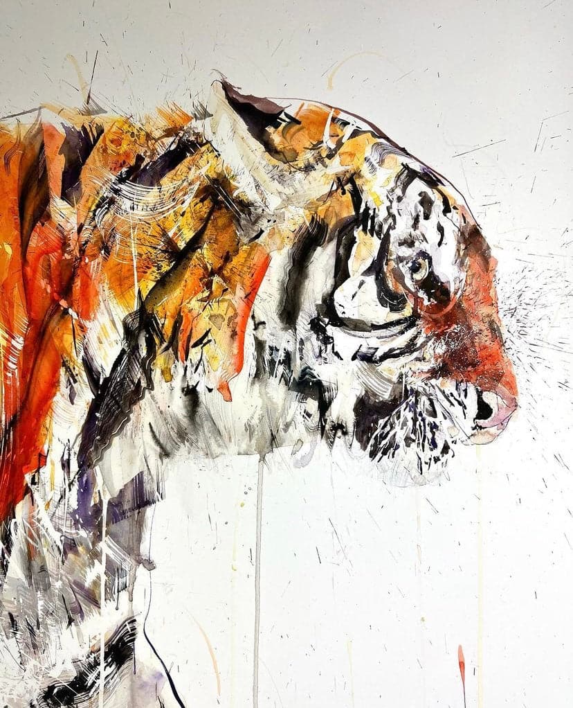 Tiger by Dave White, a limited edition giclee on somerset velvet 330gsm paper from 2022