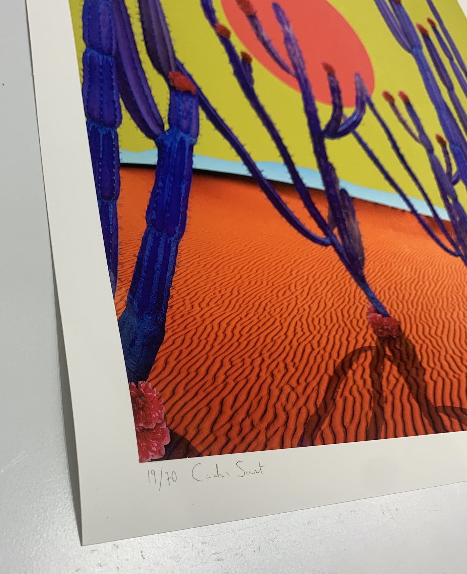 Cactus Sunset by Nadia Attura