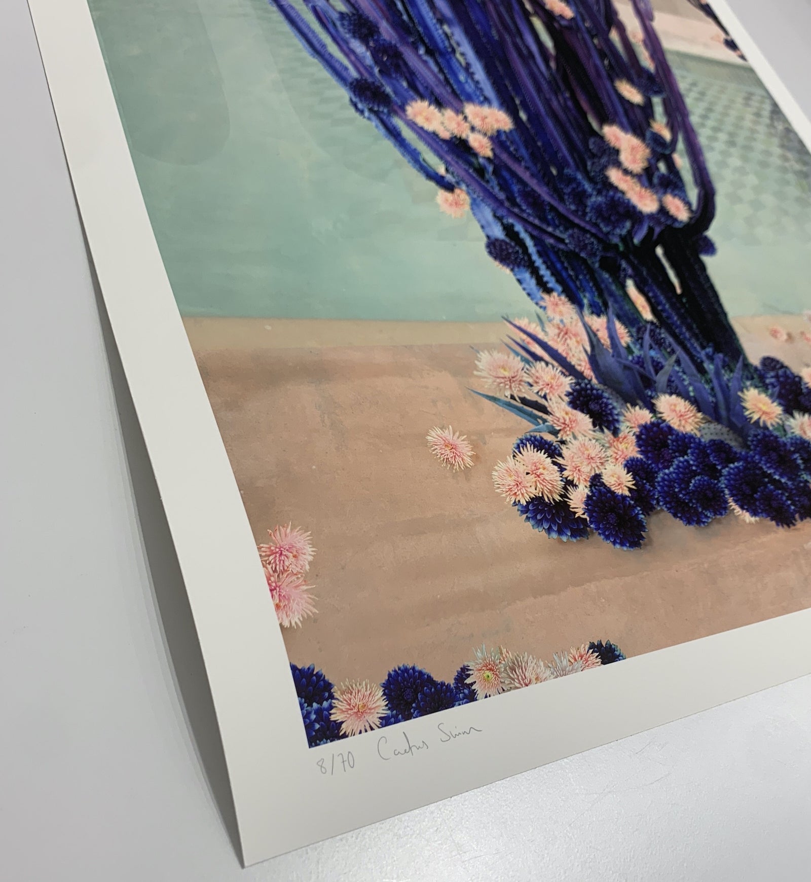 Cactus Swim by Nadia Attura