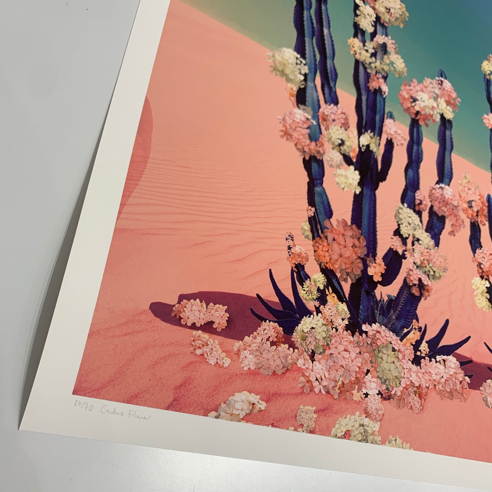 Cactus Flower by Nadia Attura