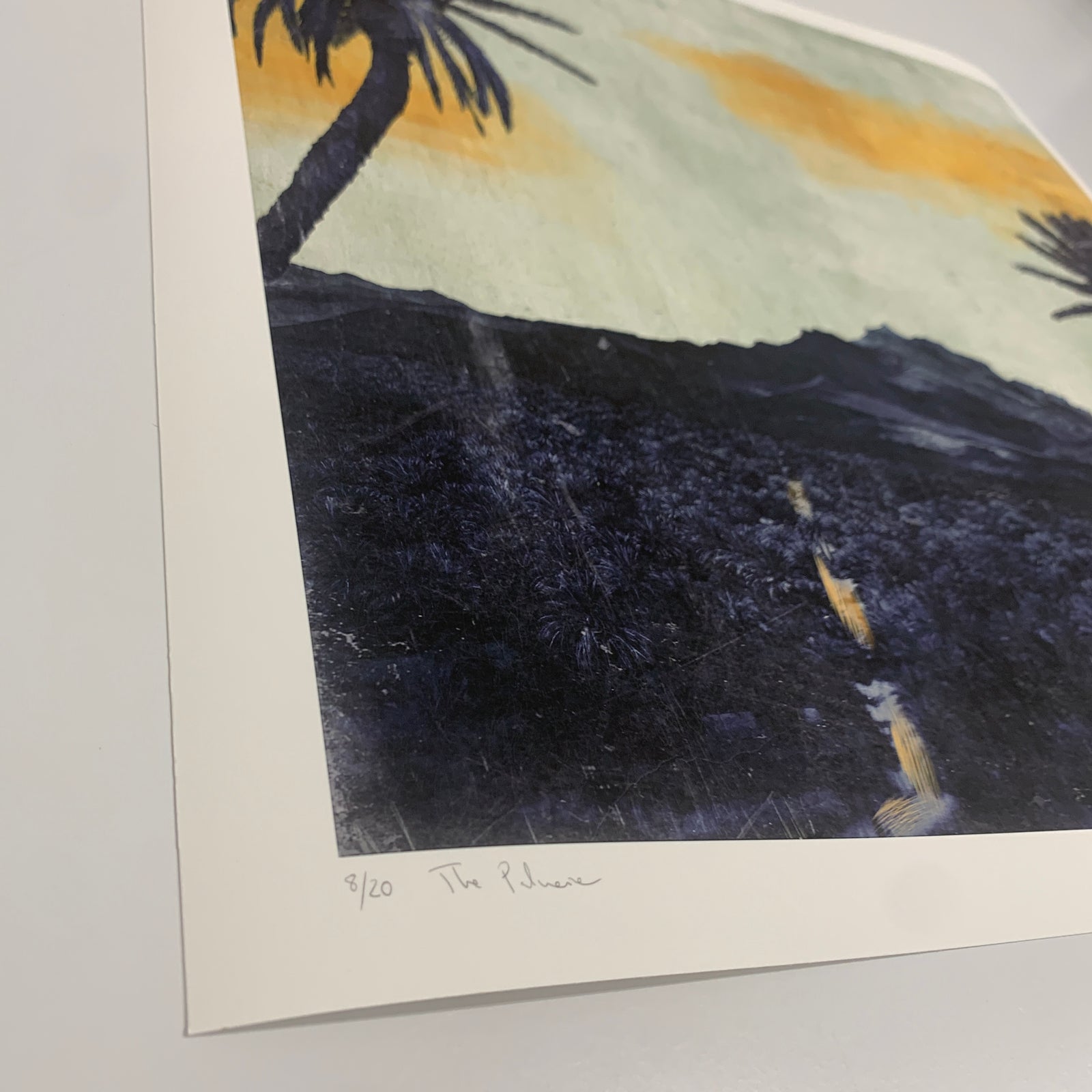 The Palmerie by Nadia Attura