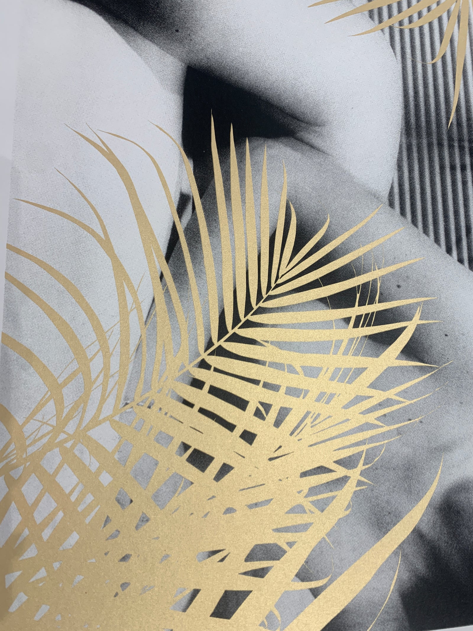 Balmy Nights by Cassandra Yap