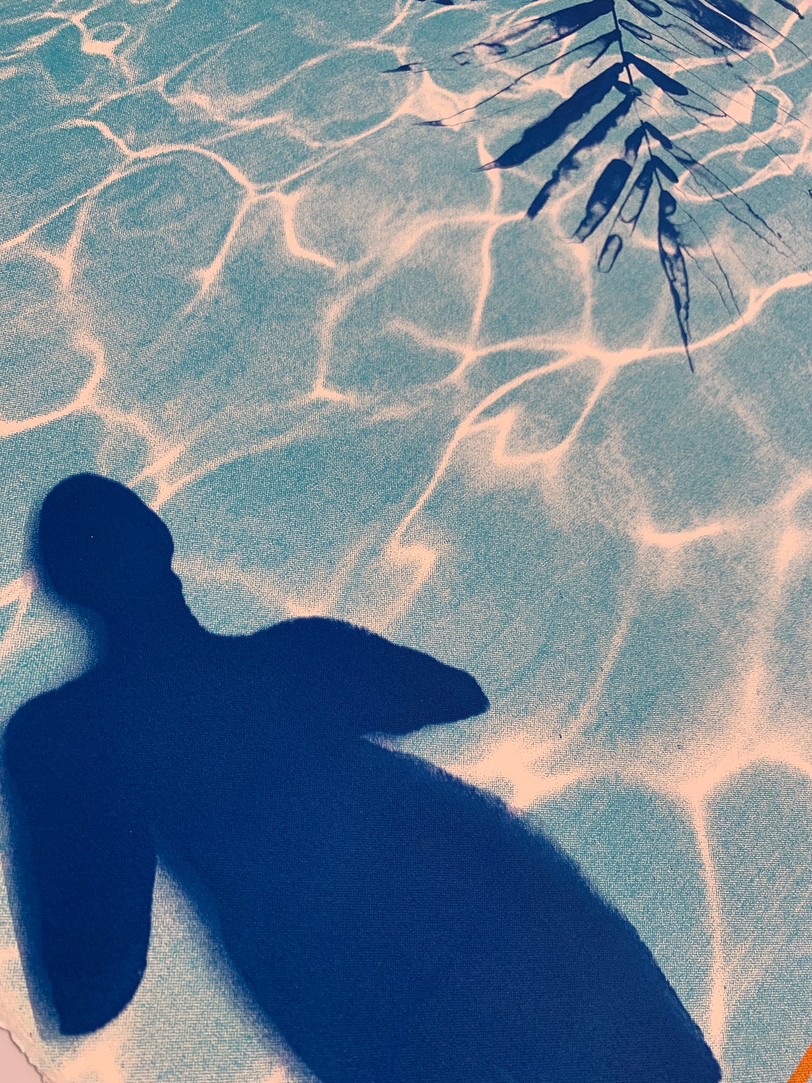 Shadows and Reflections by Anna Marrow