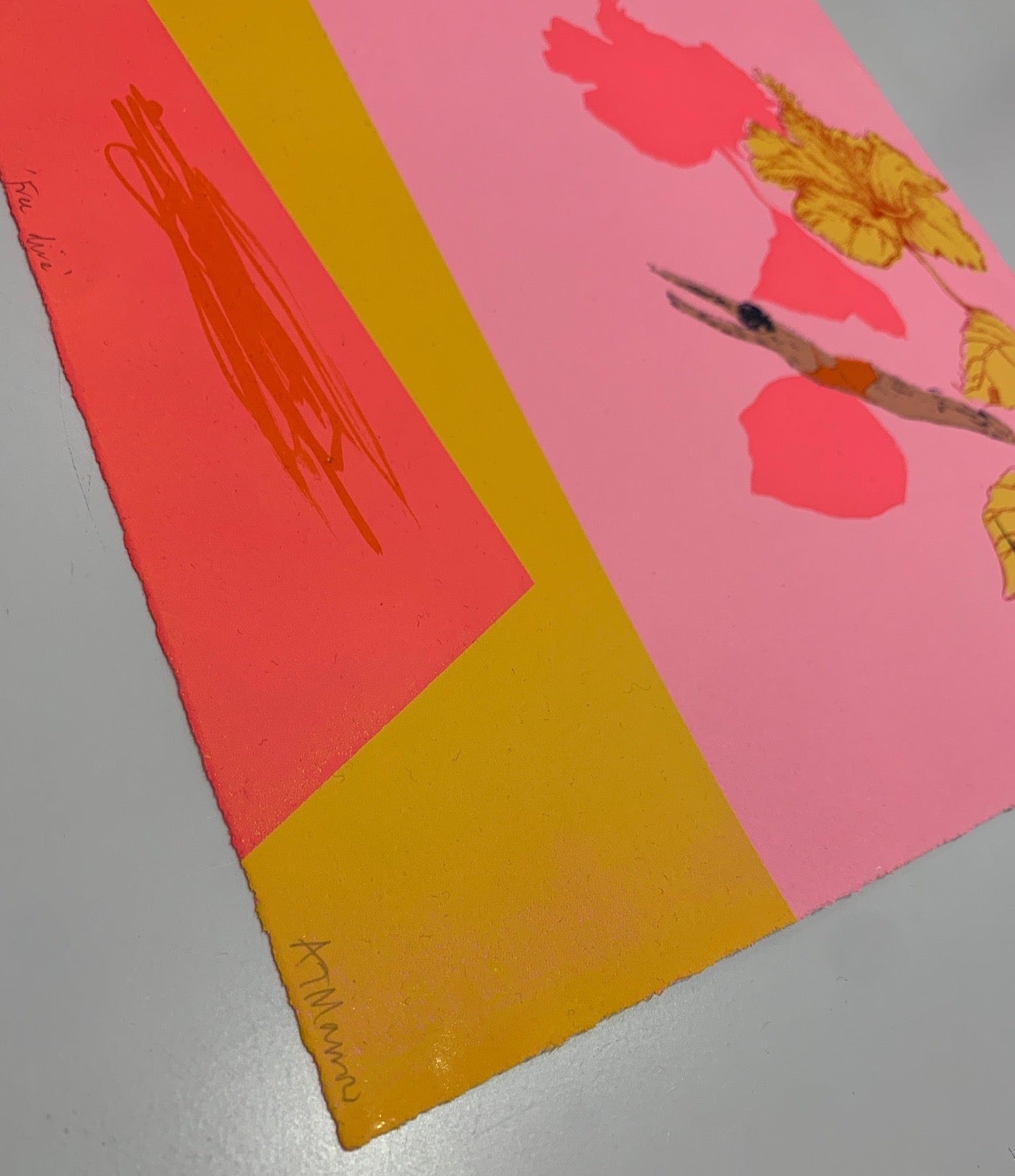 Free Dive by Anna Marrow