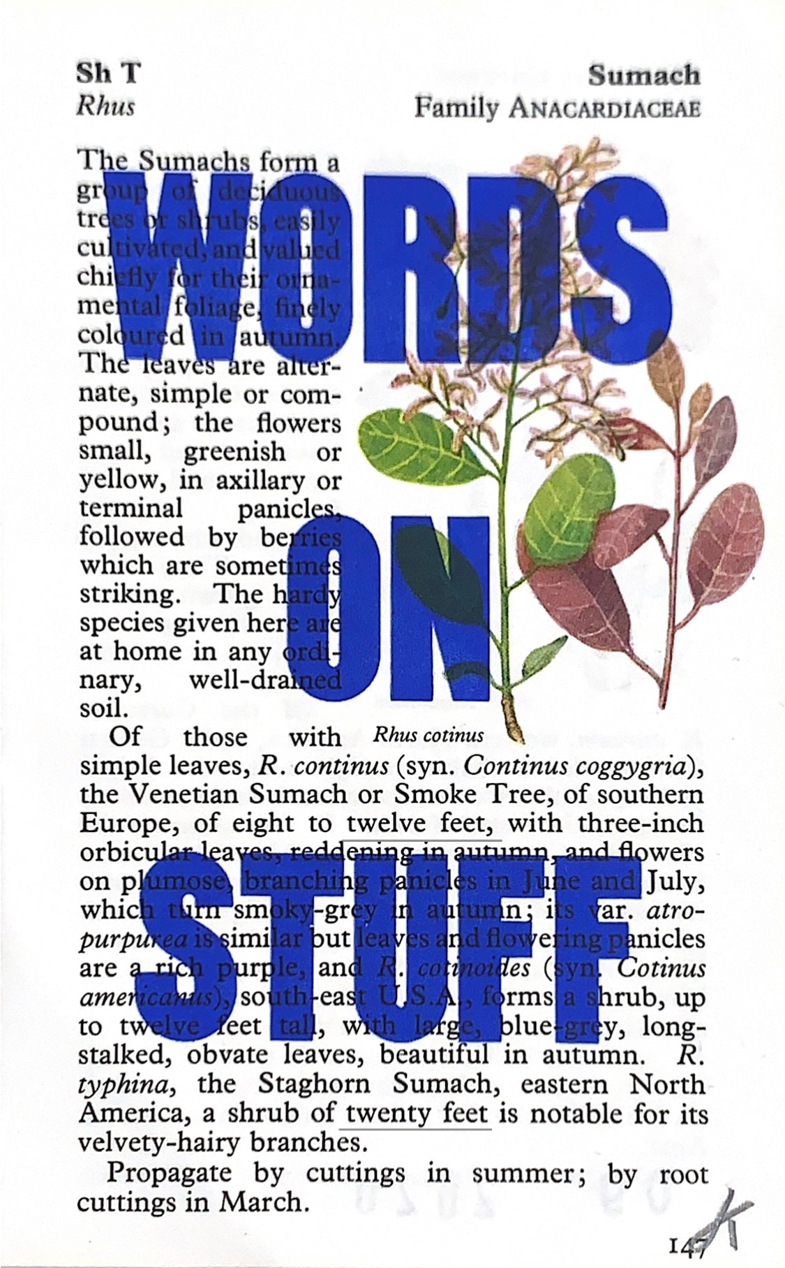 Words on Stuff by James Kingman