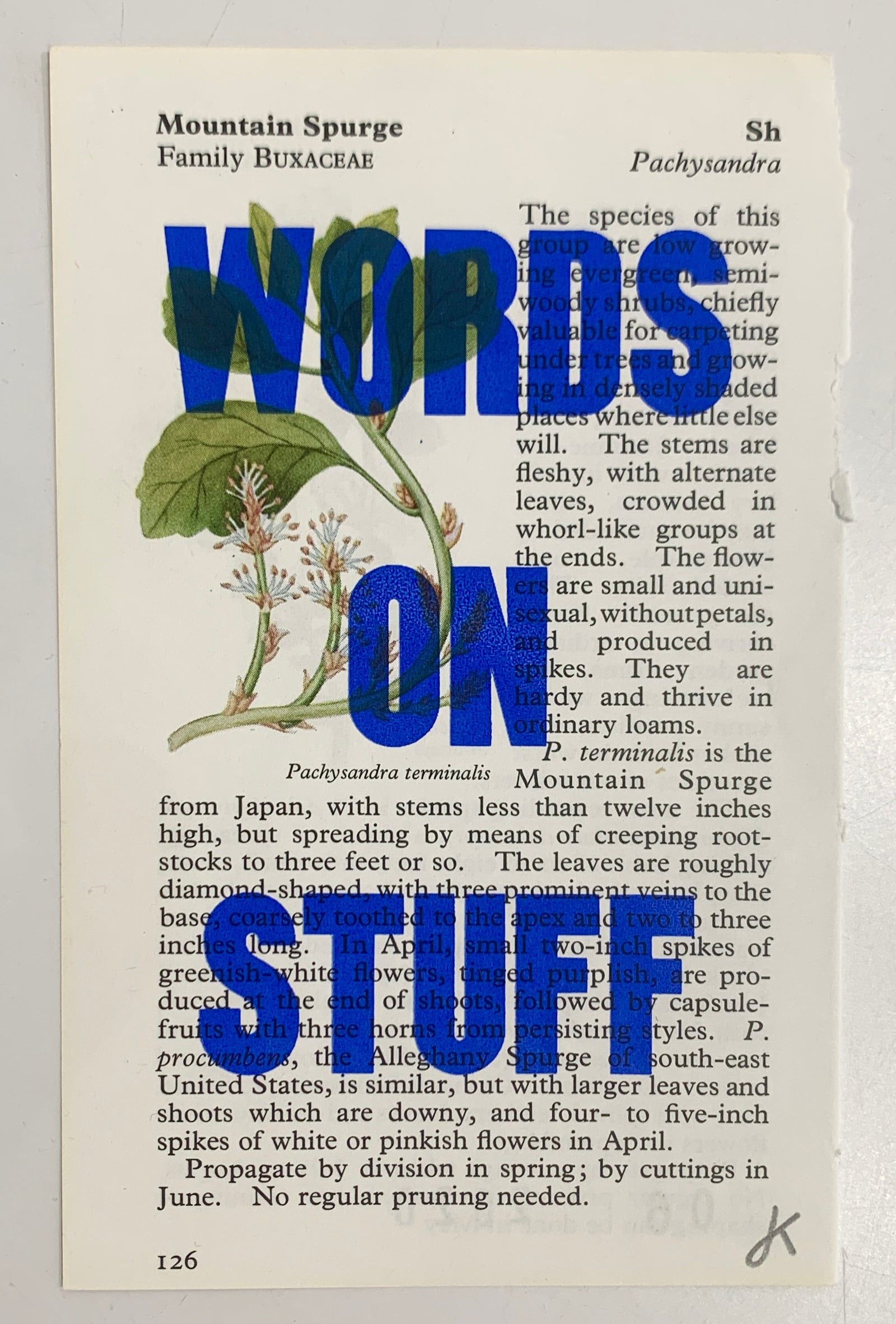 Words on Stuff 1 by James Kingman
