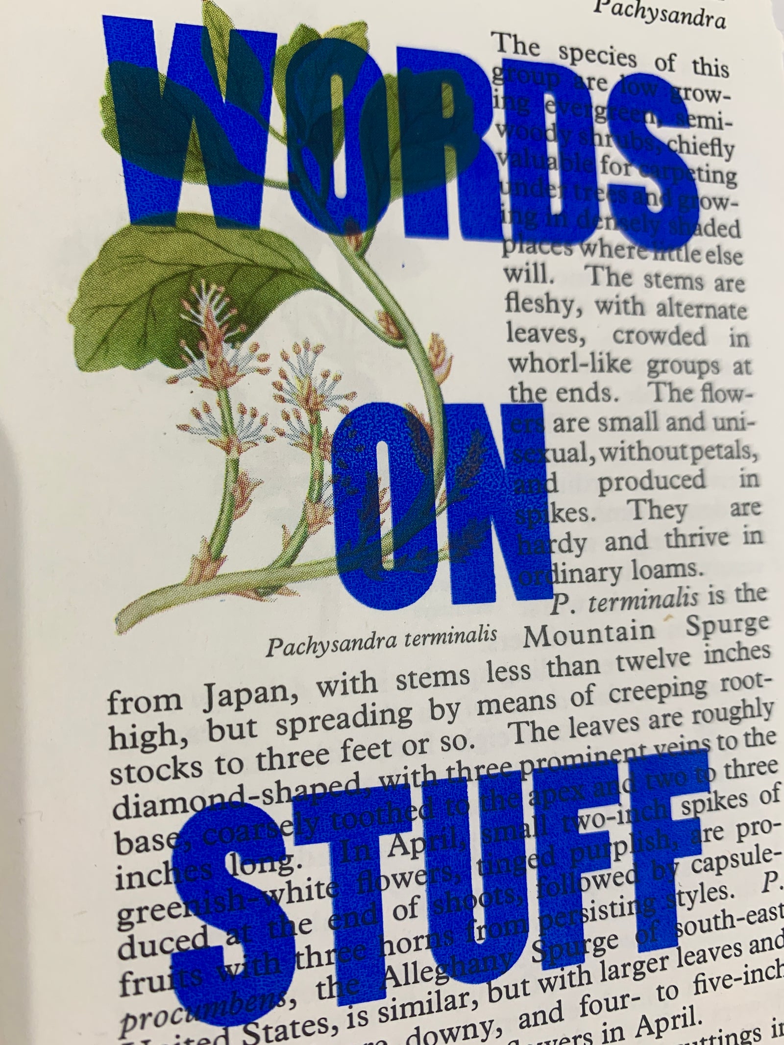 Words on Stuff 1 by James Kingman