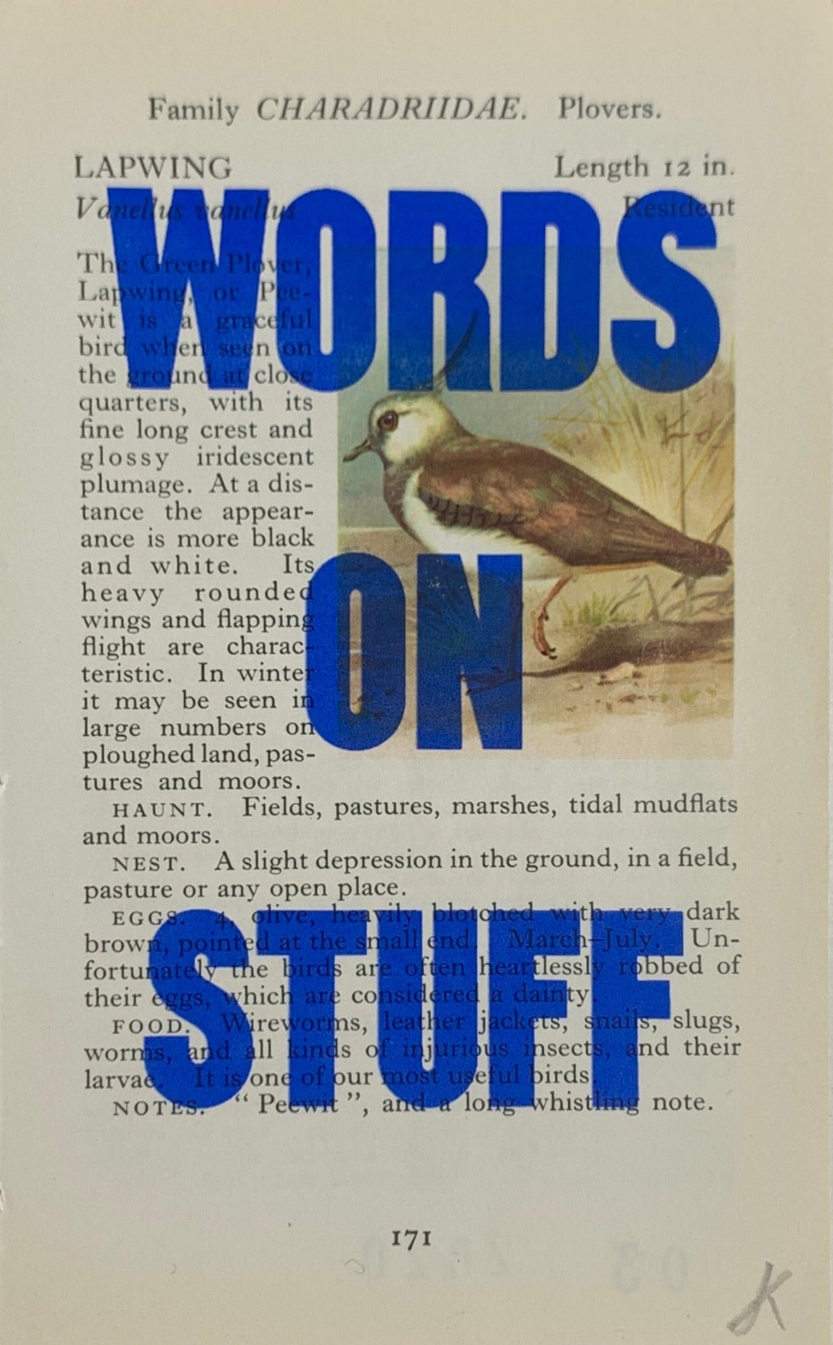Words on Stuff 3 by James Joyce