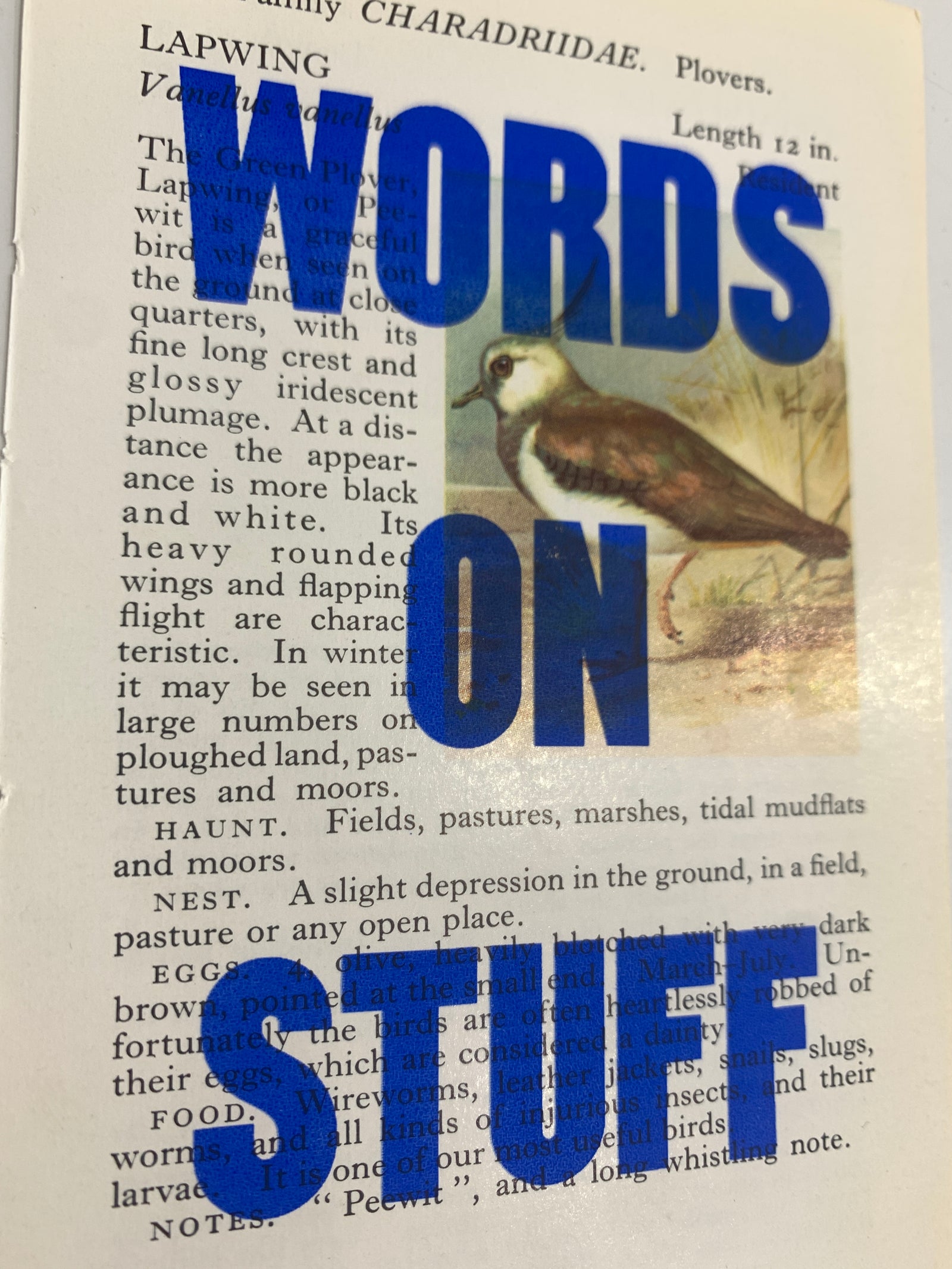 Words on Stuff 3 by James Joyce