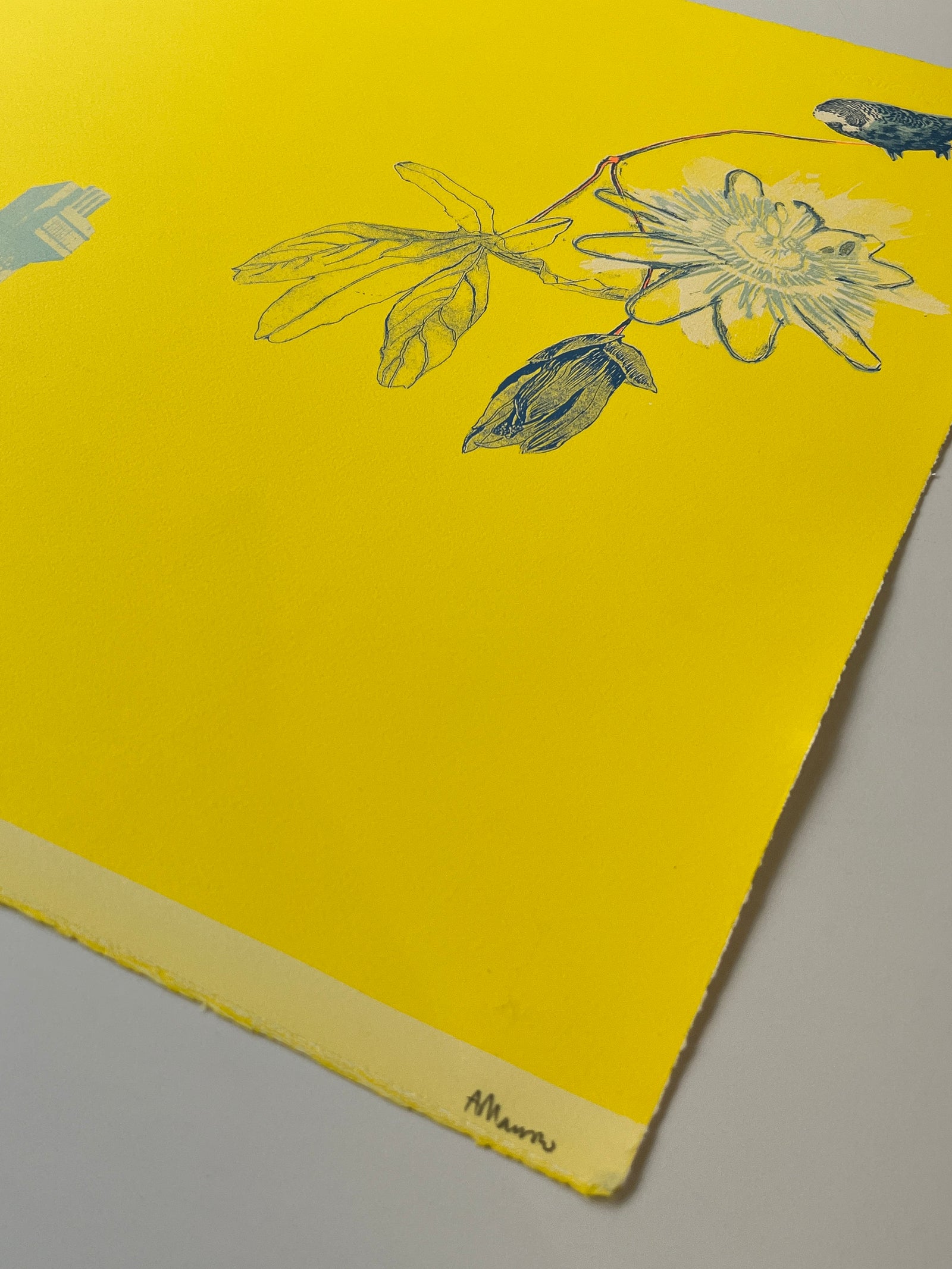 Passion City by Anna Marrow