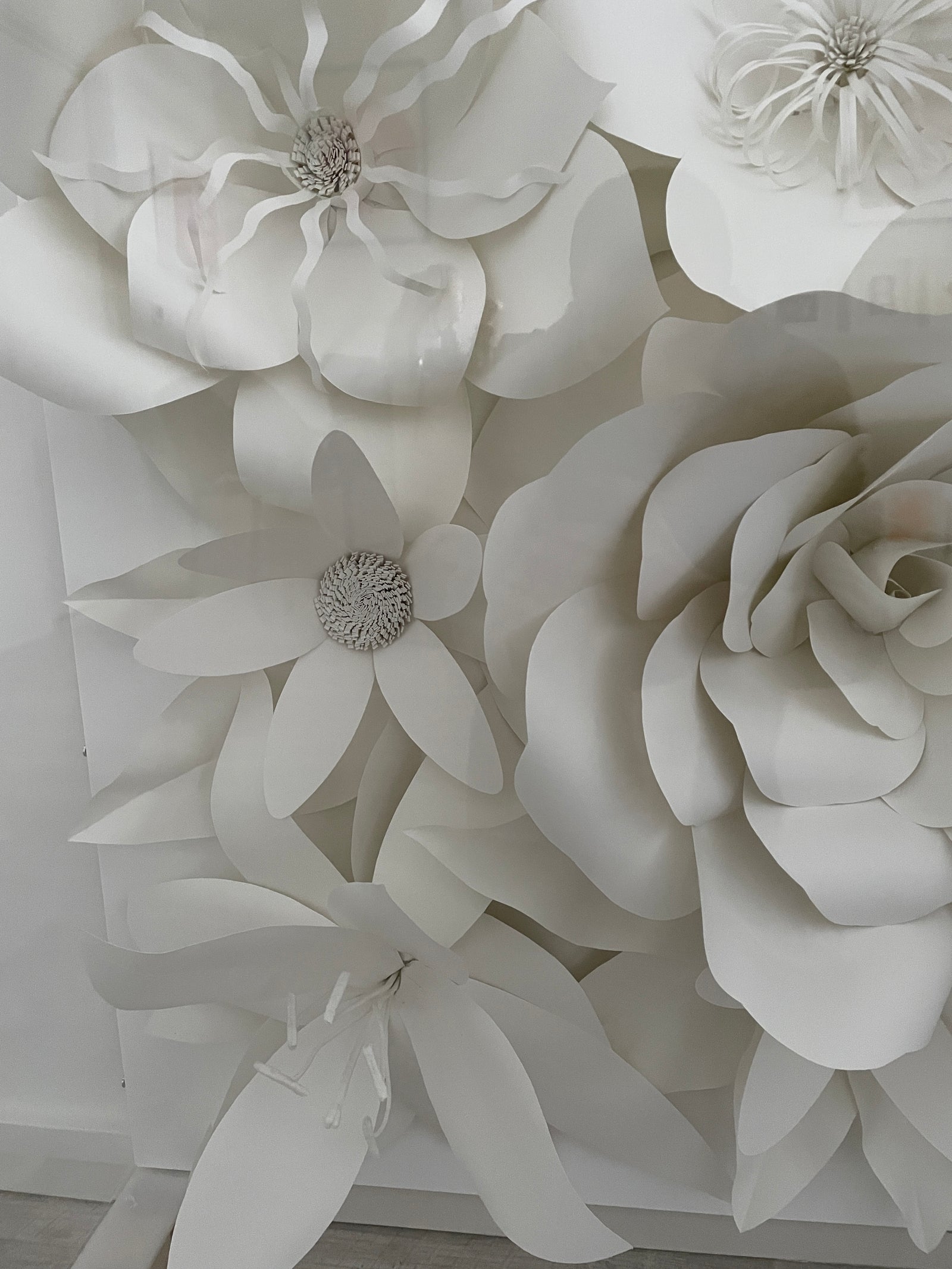 Bringing The Outside In - (Framed) by Chloe Natalia, a original paper sculpture, presented in a plexiglass protective box from 2019