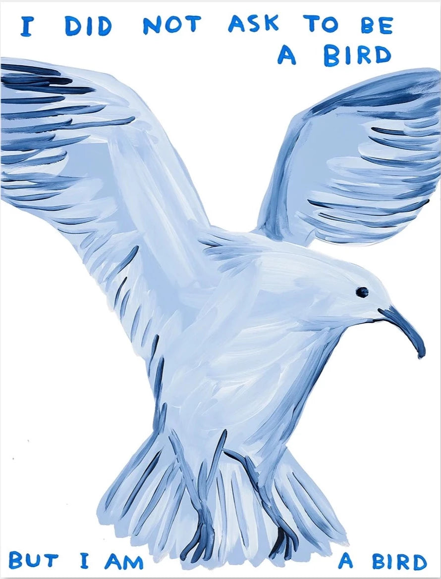 I Did Not Ask To Be a Bird by David Shrigley