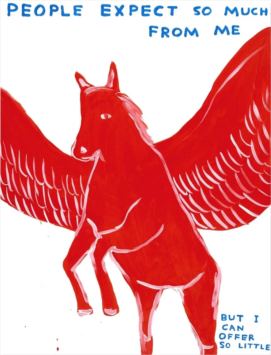 People Expect So Much From Me by David Shrigley