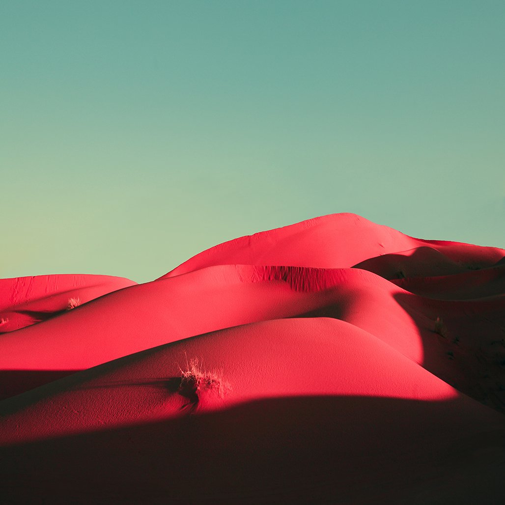 Sahara Call by Nadia Attura