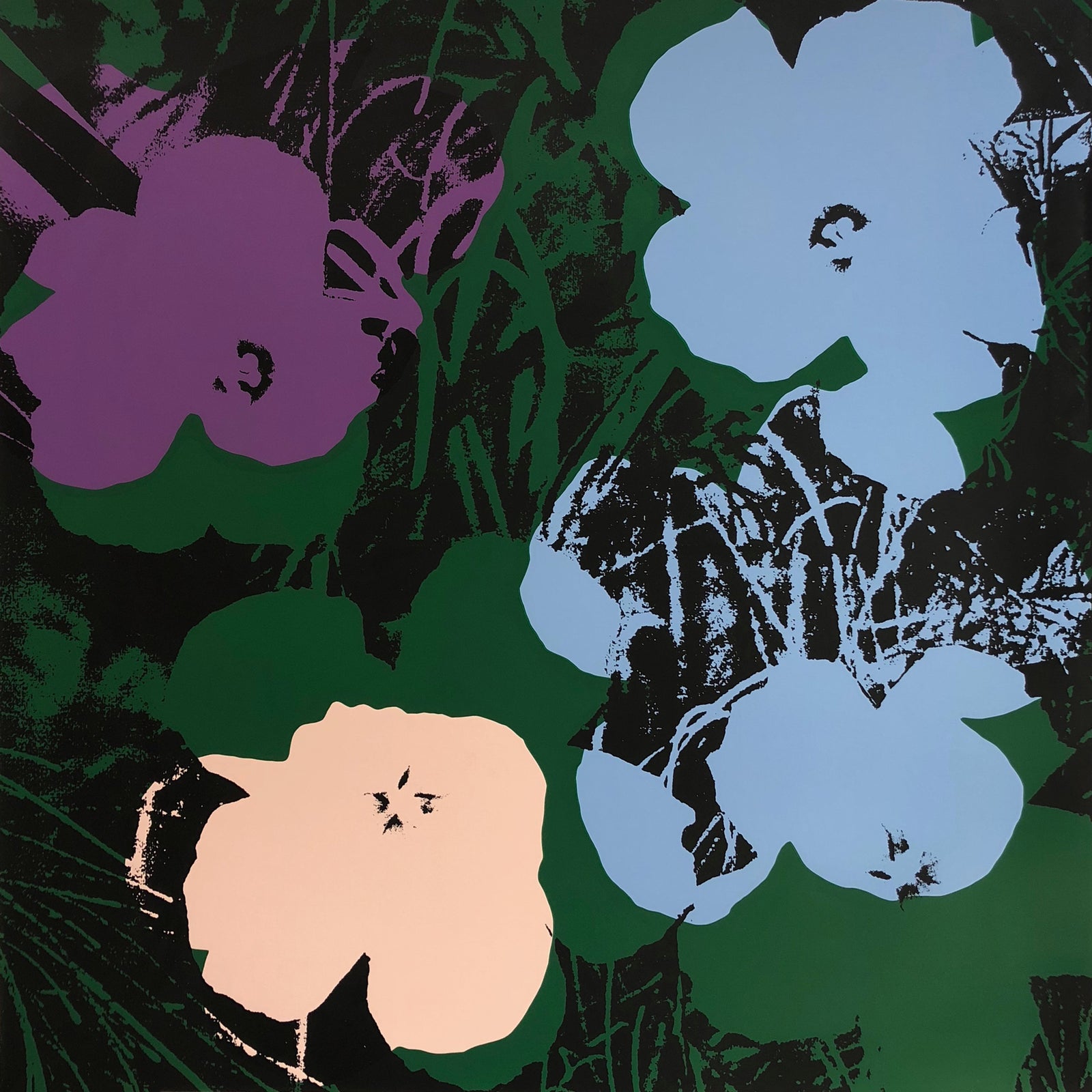 Flowers 11:64 by Sunday B. Morning (Andy Warhol)