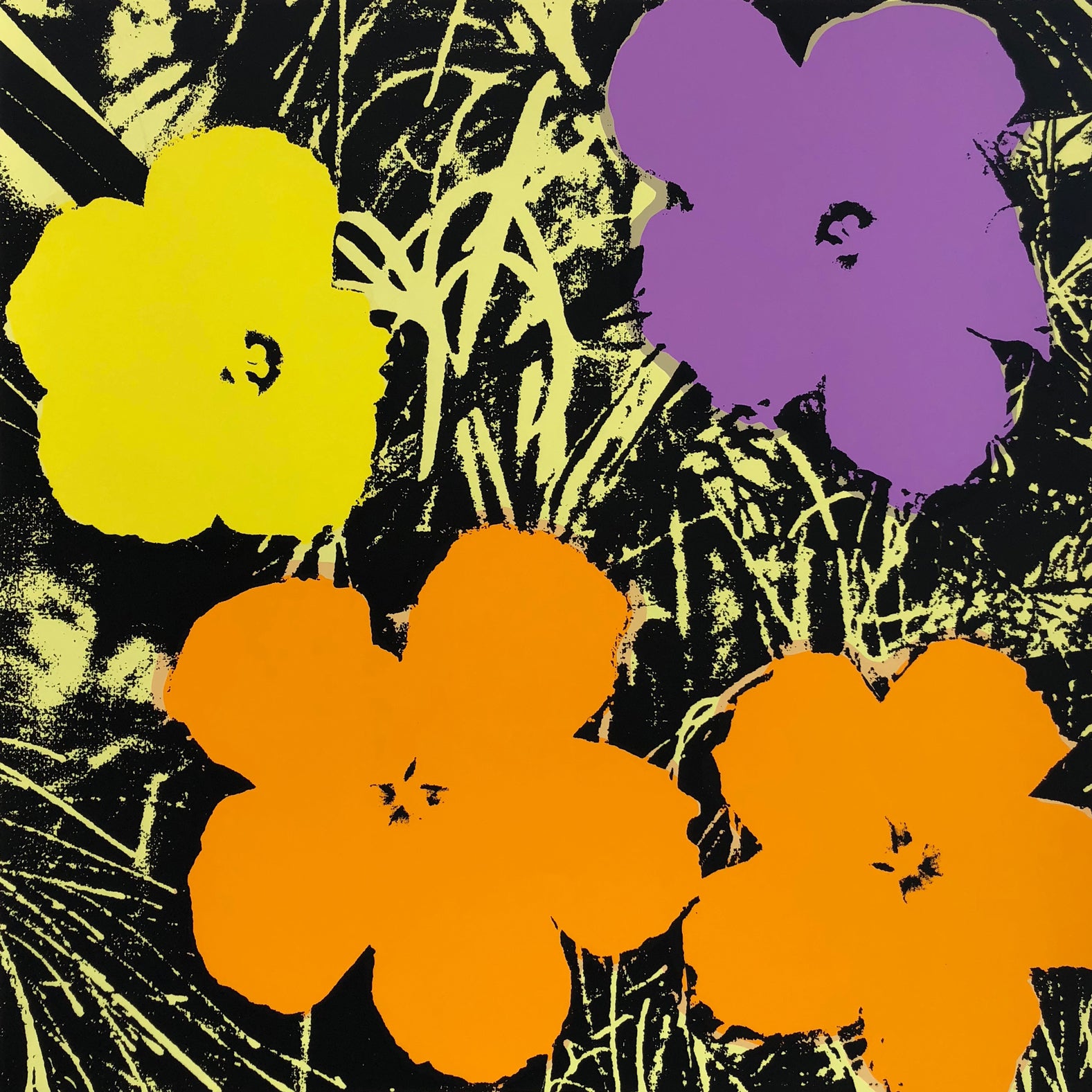 Flowers 11:67 by Sunday B. Morning (Andy Warhol)
