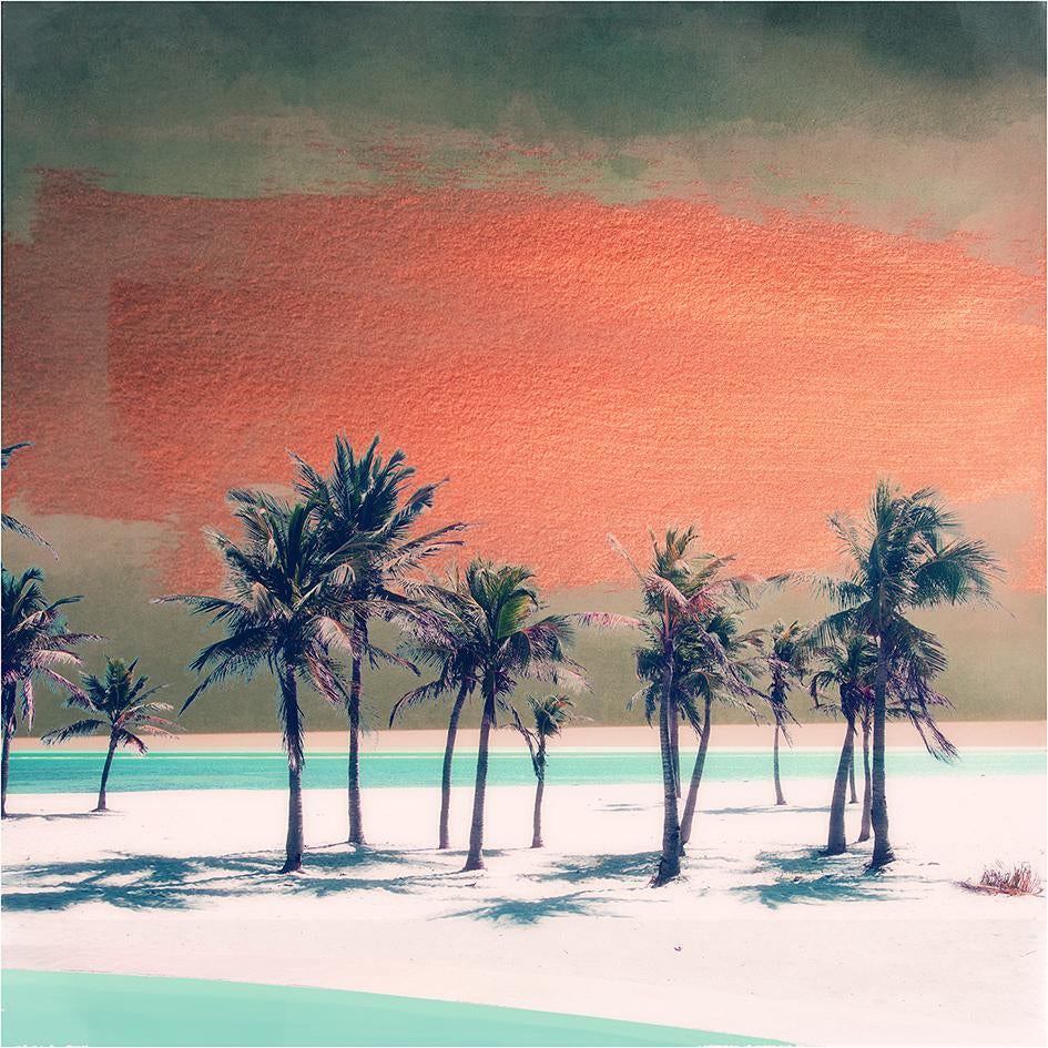 The Keys by Nadia Attura