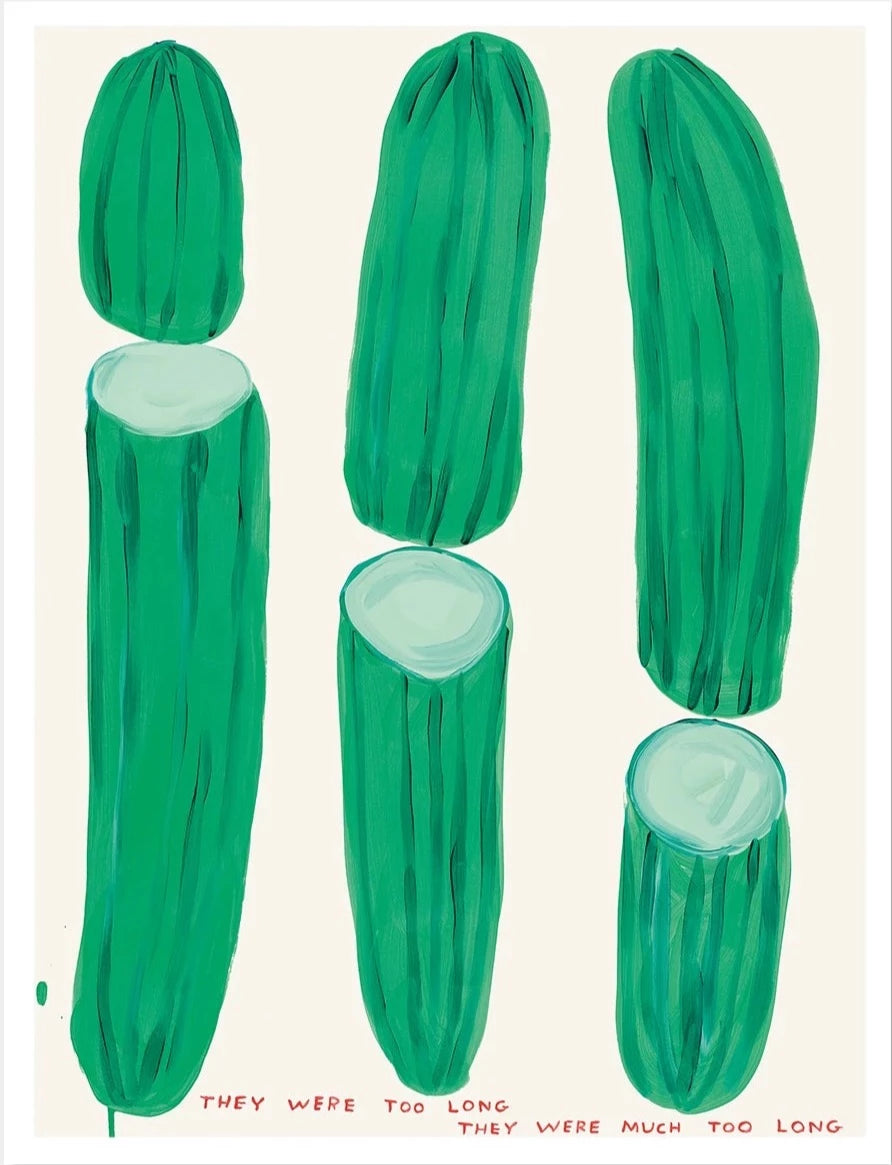 They Were Too Long by David Shrigley