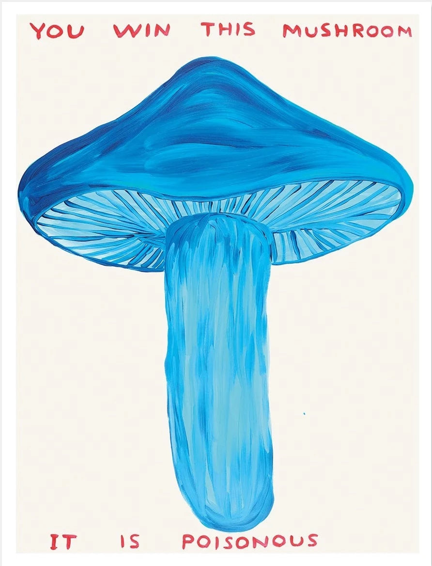 You Win This Mushroom by David Shrigley